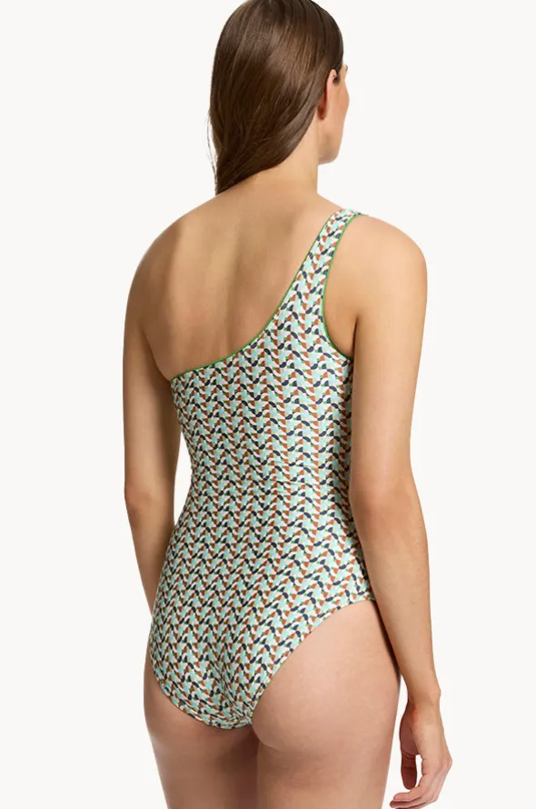Acacia One Shoulder One Piece