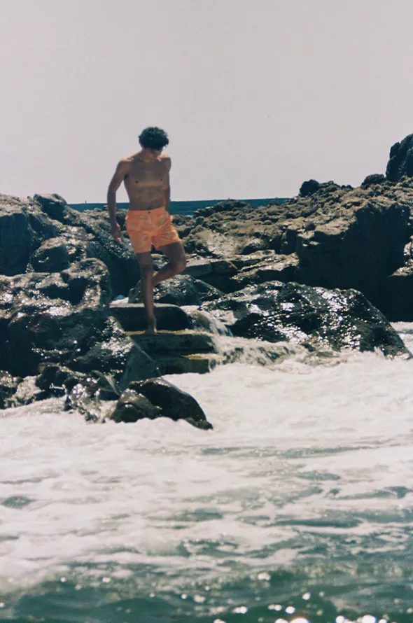 Mens Coffs Sydney Boardshort