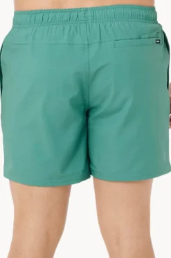 Mens Daily Volley Boardshort