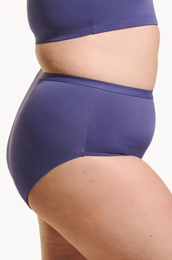 Plain Full Brief