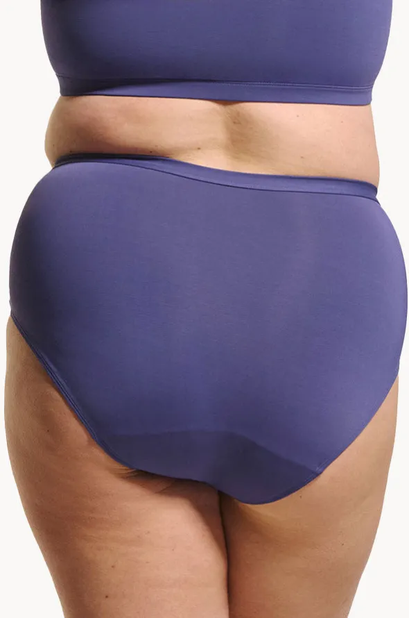 Plain Full Brief
