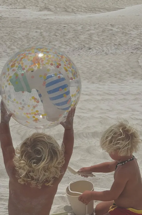 Sammy The Seagull 3D Inflatable Beach Ball