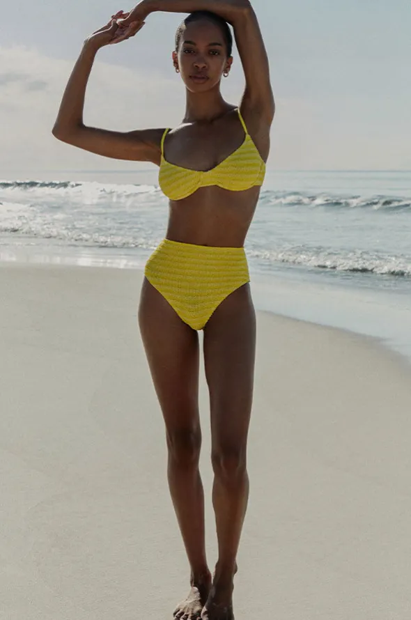 Stripe Palmer Brief